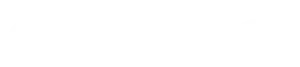 light logo